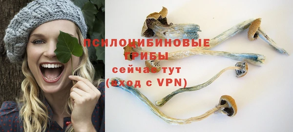 прущие крисы Алексеевка